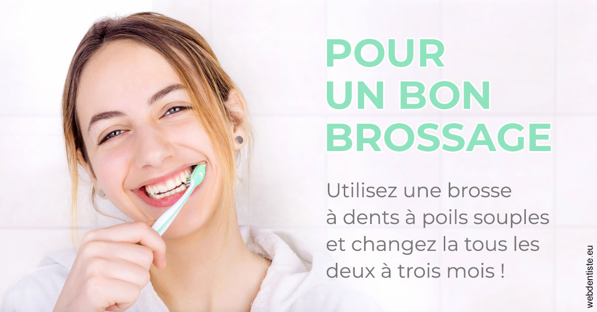 https://selarl-dr-leboeuf.chirurgiens-dentistes.fr/Pour un bon brossage 2