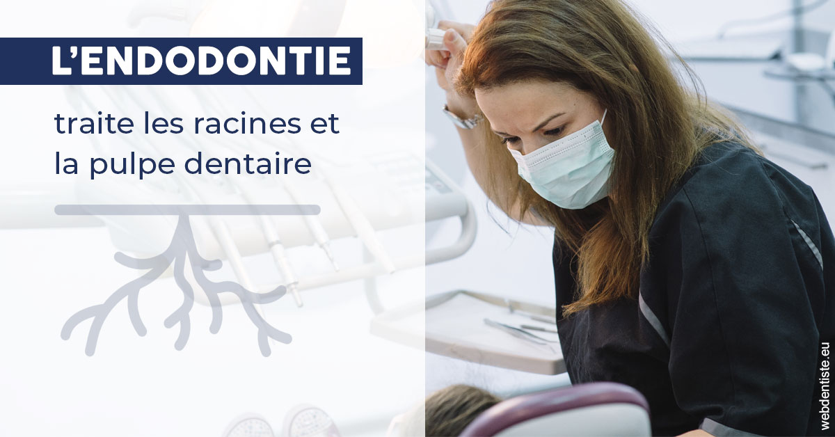 https://selarl-dr-leboeuf.chirurgiens-dentistes.fr/L'endodontie 1