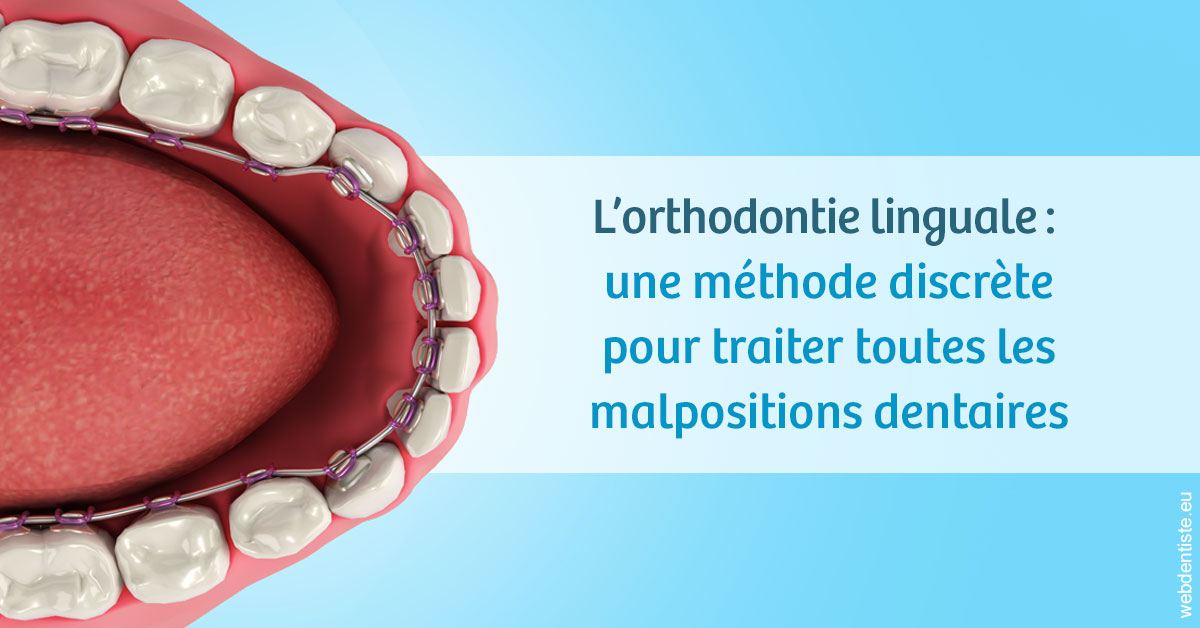 https://selarl-dr-leboeuf.chirurgiens-dentistes.fr/L'orthodontie linguale 1