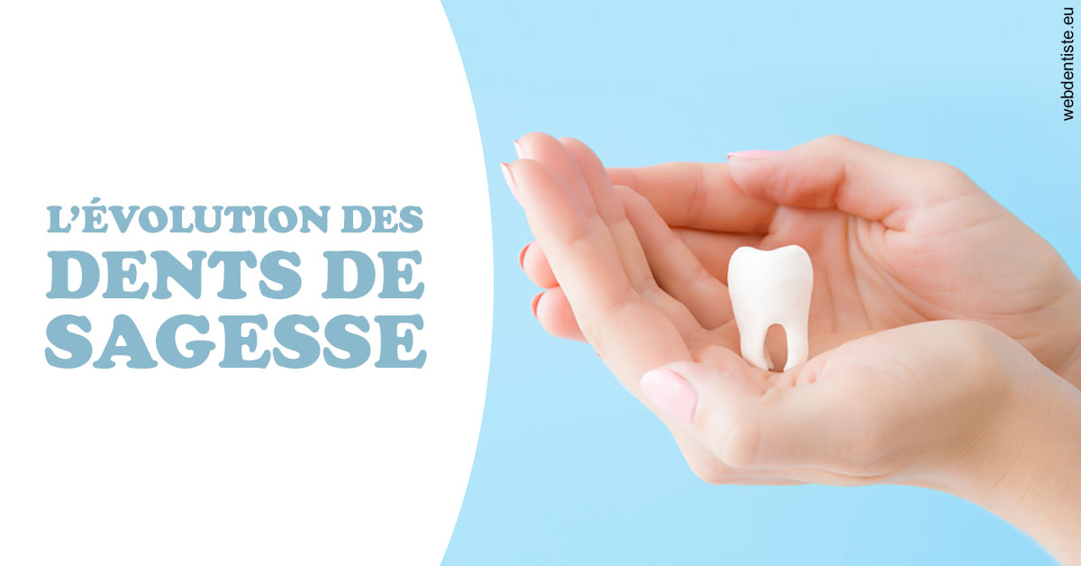 https://selarl-dr-leboeuf.chirurgiens-dentistes.fr/Evolution dents de sagesse 1