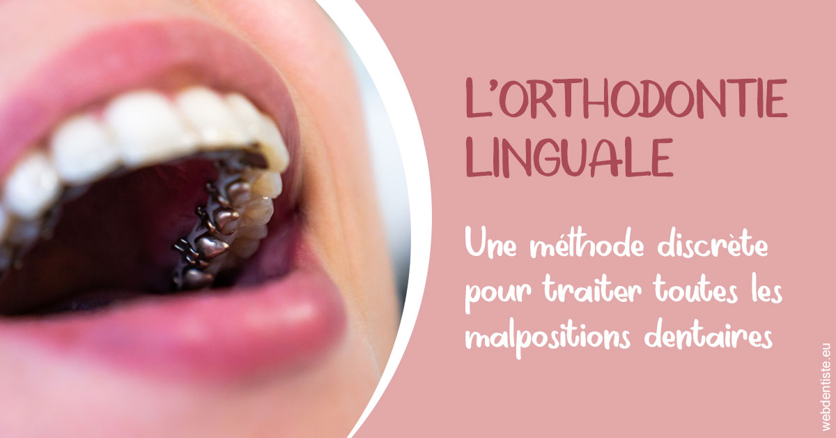 https://selarl-dr-leboeuf.chirurgiens-dentistes.fr/L'orthodontie linguale 2
