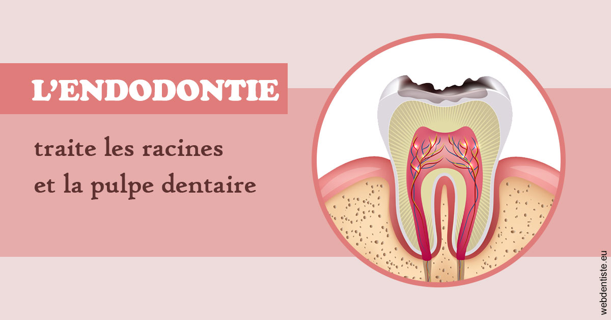 https://selarl-dr-leboeuf.chirurgiens-dentistes.fr/L'endodontie 2