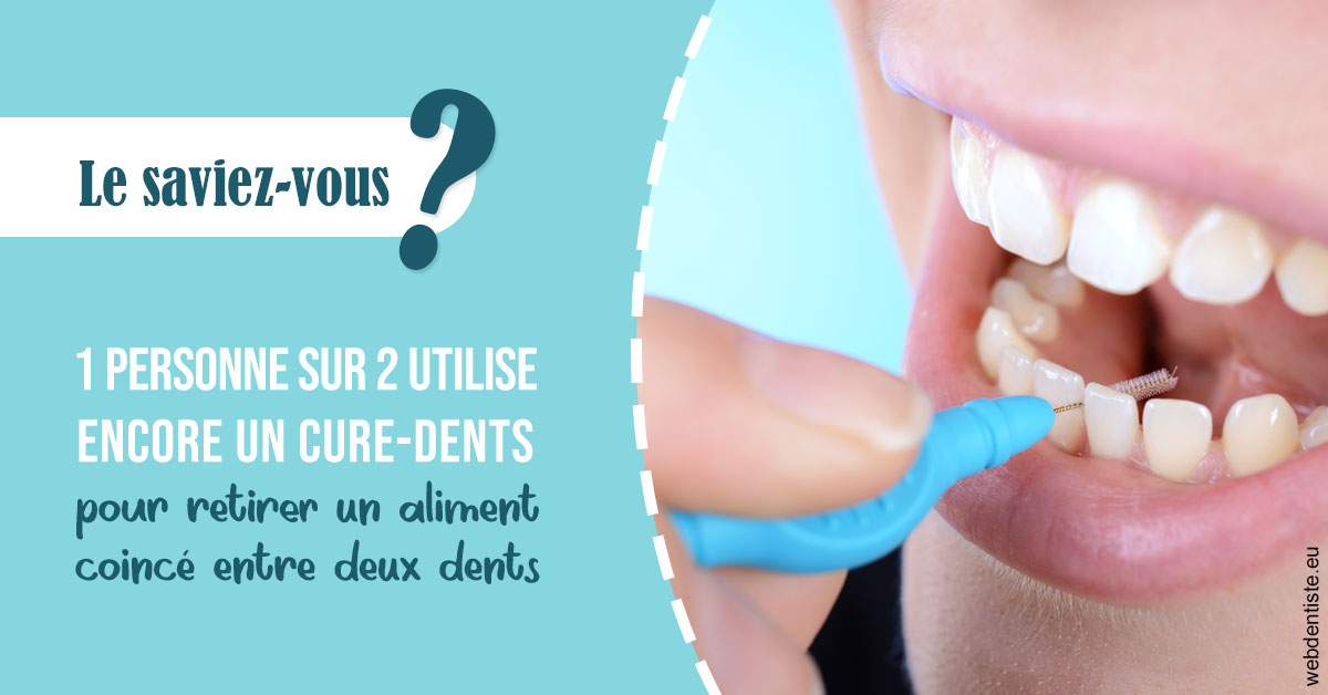 https://selarl-dr-leboeuf.chirurgiens-dentistes.fr/Cure-dents 1